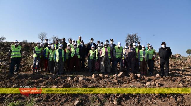Manisa Hızlı Tren alanında lavanta ormanı oluşturuldu