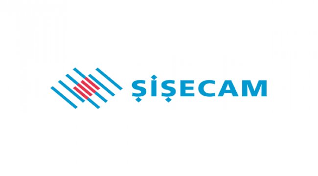 Şişecam'da denetçi seçimi
