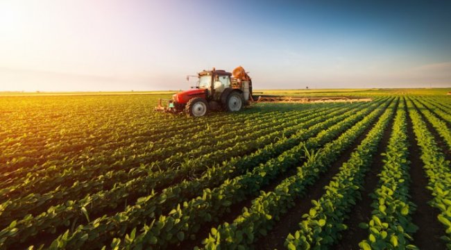 Tarım ürünleri üretici fiyat endeksi (Tarım-ÜFE) yıllık %21,32, aylık %2,61 arttı