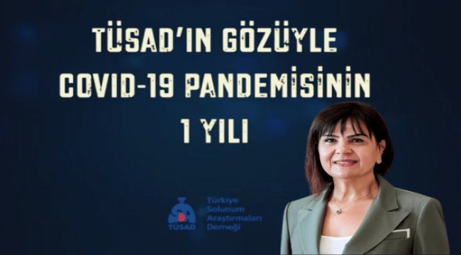TÜSAD gözüyle pandeminin bir yılı