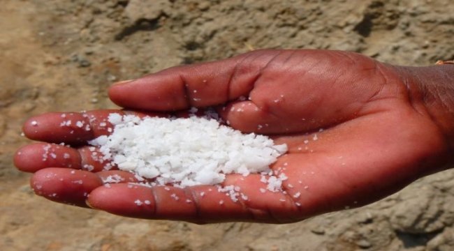 Tuzun azı karar çoğu zarar