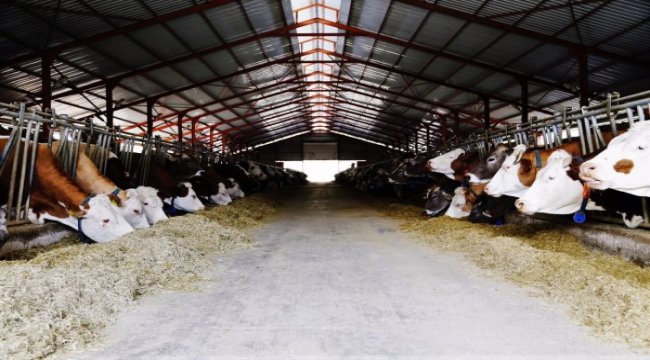 Üreticinin tüketici ile buluştuğu konsept