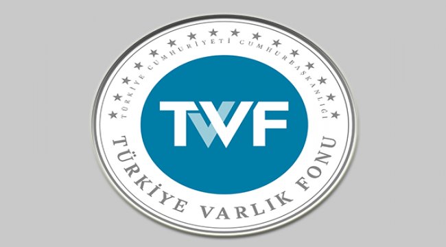 Varlık fonuna atama