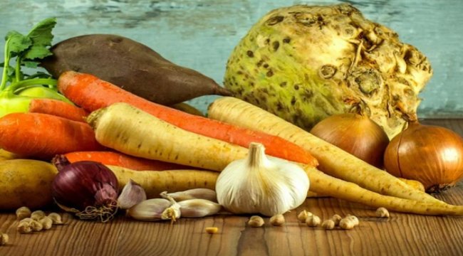 Vegan beslenme uzman eşliğinde olmalı