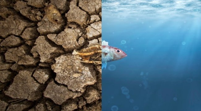 Yakın gelecekteki tehlike: Küresel ısınma hakkında 5 soru 5 cevap