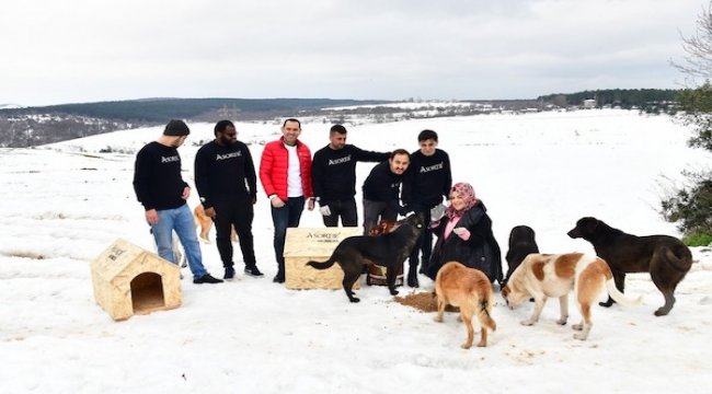 Yerli mobilya şirketi sokak hayvanlarını unutmadı
