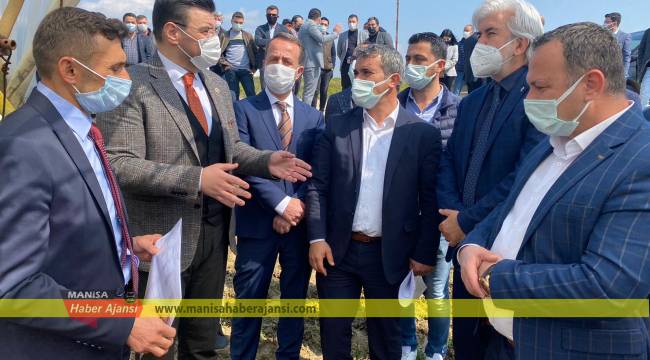 AK Partili Akkal üzüm bağlarını inceledi