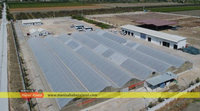 Büyükşehir, 250 Bin Metrekare Peyzaj Çalışması Yapacak