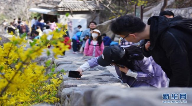 Çin’de Qingming Bayramı’nın ilk gününde 51 milyondan fazla seyahat