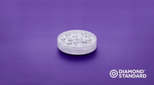 “Diamond Coin” emtia olarak işlem görmeye başladı