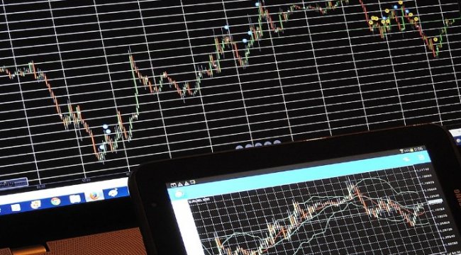 Endekslerde kullanılan fiili dolaşımdaki pay oranı değişiklikleri