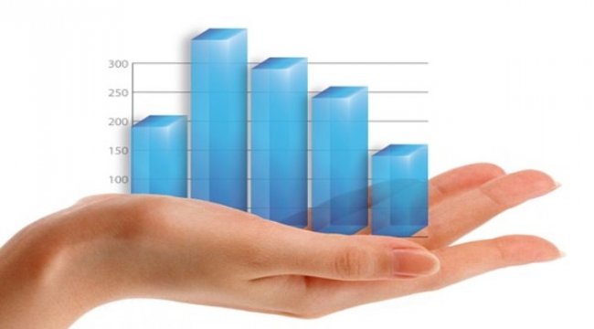 İşbir Holding'ten kar dağıtımı