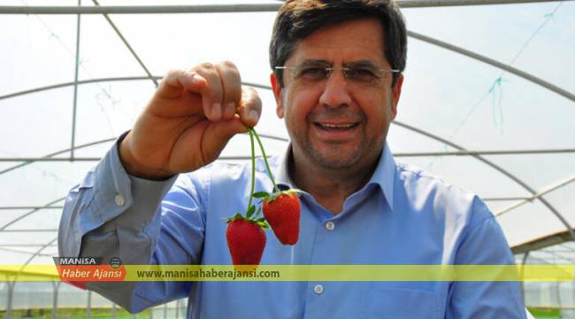Manisa'da üretiliyor, yurt dışına ihraç ediliyor! Taleplere yetişemiyorlar...