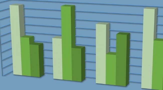 Papilon'da komite üyesi seçimi