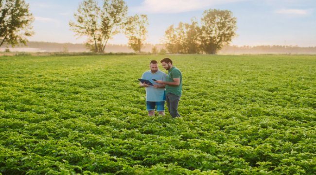 PepsiCo tarım uygulamalarını 28,3 milyon dönüme çıkaracak