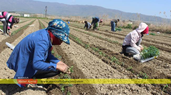 Üretici 2021 sezonuna başladı