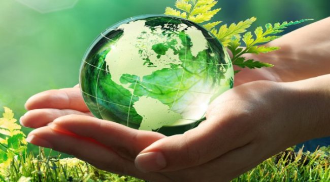 Vegan ve ekolojik hijyen ürünleri tercih etmek için 3 sebep
