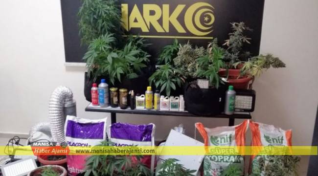 Manisa'daki evini uyuşturucu serasına çeviren şüpheliye suçüstü