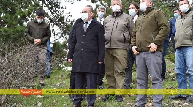 Spil Dağı Milli Parkı cazip hale gelecek