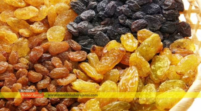 184 bin ton üzüm ihracatından 356 milyon dolarlık döviz
