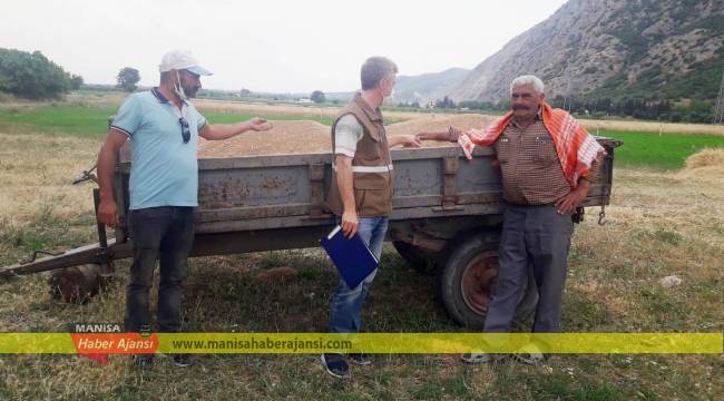 Buğday arpa hasat sezonu başladı