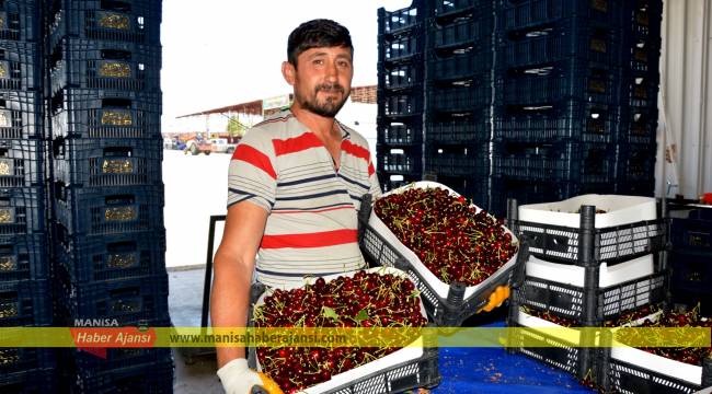 Kiraz yüz güldürüyor  10 günde 3 bin 500 ton kiraz ihracatı