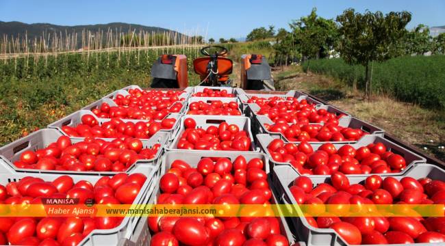 Manisa’da 445 milyon dolarlık ihracat