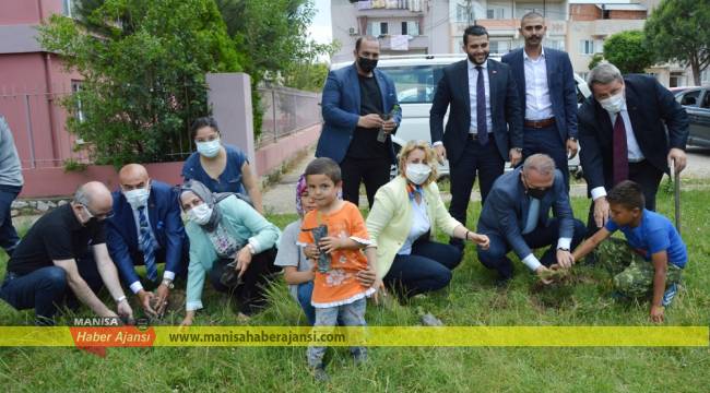 Manisa Tarzanı için 58 fidan toprakla buluştu