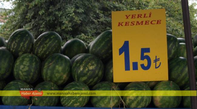 Poyraz karpuzunda hasat zamanı