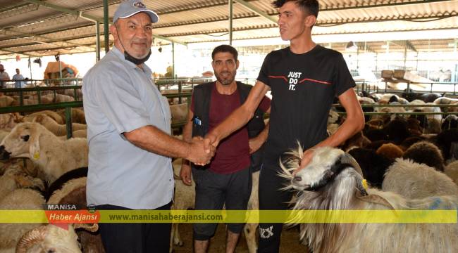 150 kiloluk koç 3 bin 500 TL’ye satıldı