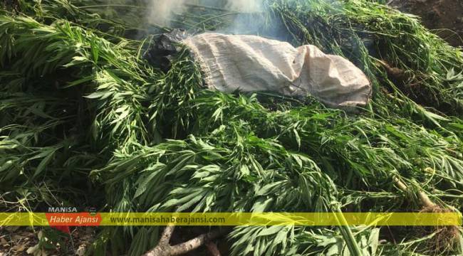 Karacaali Deresinde 10 kg kubar esrar ele geçirildi