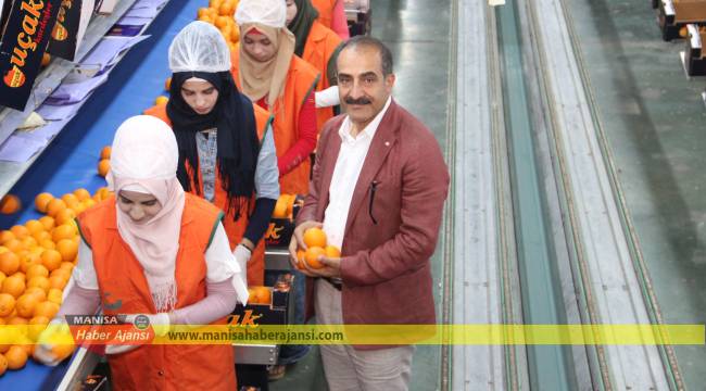 Yaş meyve sebze ve meyve sebze mamulleri sektörü 509 milyon doları Türkiye’ye kazandırdı