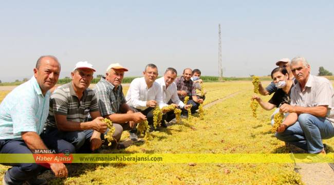 CHP üzüm üreticileri için sahada