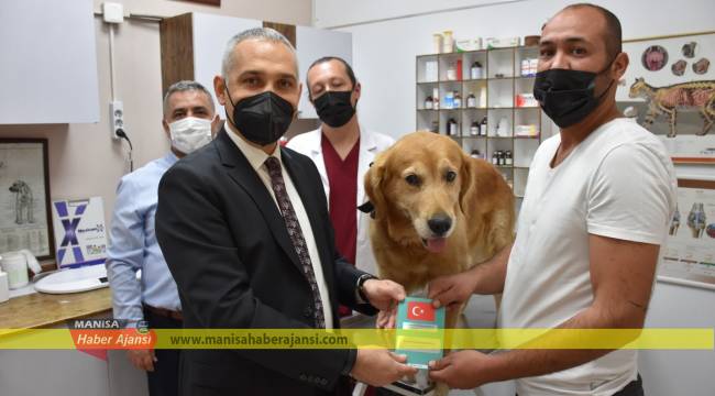 Uygulama ile köpeklerin sokağa terk edilmesi önlenecek