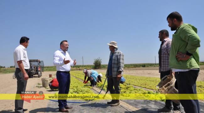 “Üzüm üreticisine üvey evlat muamelesi”