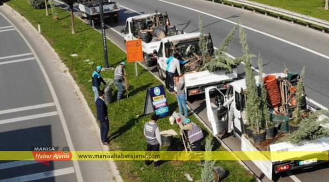 Çevre Yolunda 660 Ağaç Toprakla Buluştu