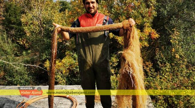 İçme Suyu Hattından 5 Metrelik Kunduz Çıktı