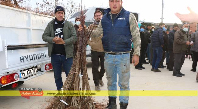 Şehzadeler’de Üreticilere Meyve Fidanı Dağıtıldı