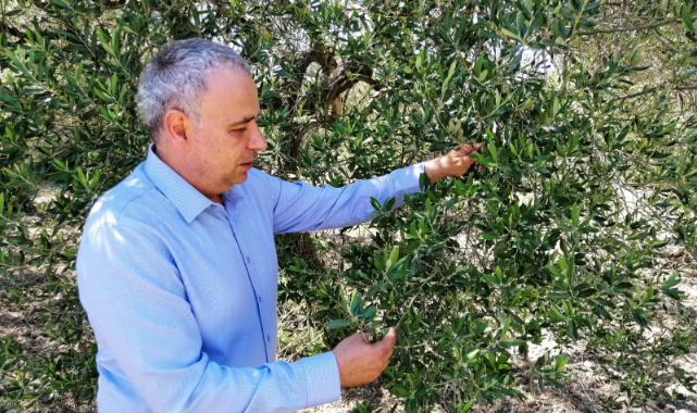 Tarım Desteği Cebe Girmeden Eridi