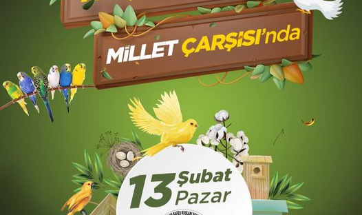 YUNUSEMRE KUŞ PAZARI MİLLET ÇARŞISINDA KURULUYOR