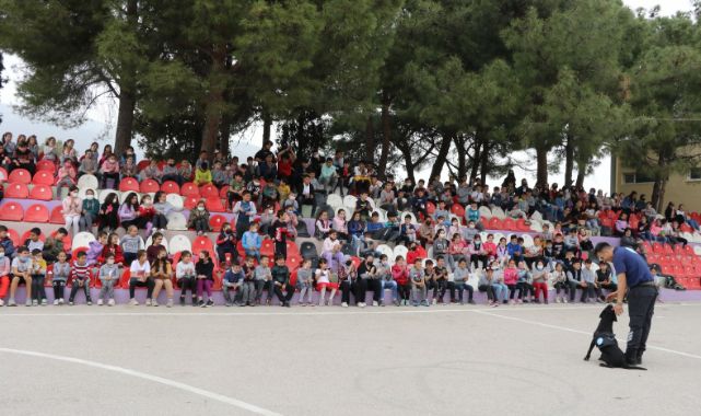 Asel, Yeni Yuvasında