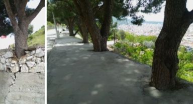 MANİSA'DA AĞAÇLAR İŞKENCE TEZGAHINDA