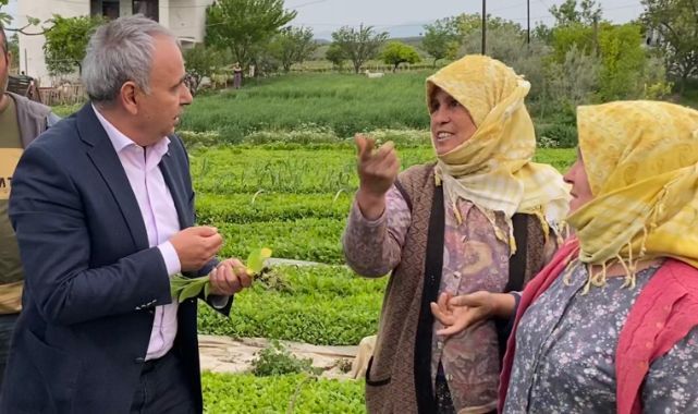 TÜTÜN ÜRETİCİSİ DERTLİ