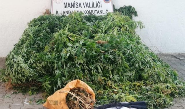 Uyuşturucu Madde İmalatı