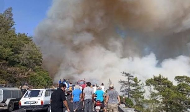 Manisa'da çıkan yangın kontrol altına alındı