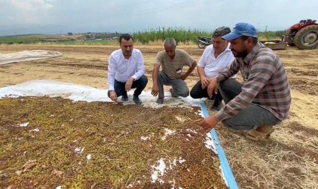 CHP’li Başevirgen, “TMO Randevuları Kapattı, Üretici Tüccarın Eline Kaldı”