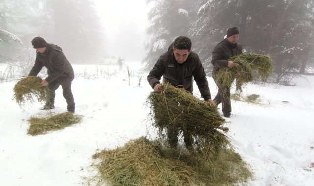 Spil Dağı Milli Parkında Yaban Hayvanlarına Yem Desteği