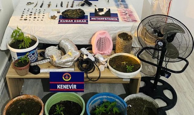 ÇATI ÇATI DEĞİL UYUŞTURUCU TARLASI!