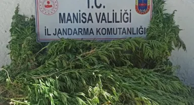 Şehzadelerde kenevir operasyonu