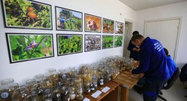 Cumhuriyet’in 100.Yılında 1 Milyon Yerel Tohum